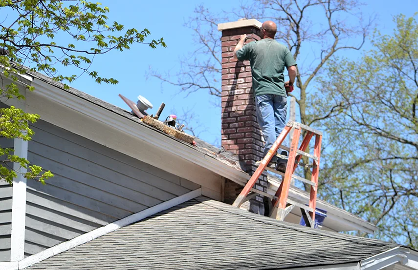 Chimney & Fireplace Inspections Services in Layton, UT